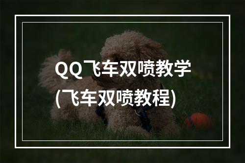 QQ飞车双喷教学(飞车双喷教程)