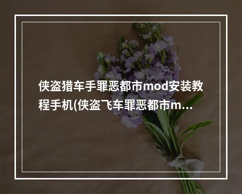 侠盗猎车手罪恶都市mod安装教程手机(侠盗飞车罪恶都市mod怎么安装 侠盗飞车罪恶都市mod)