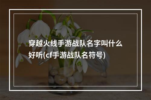 穿越火线手游战队名字叫什么好听(cf手游战队名符号)