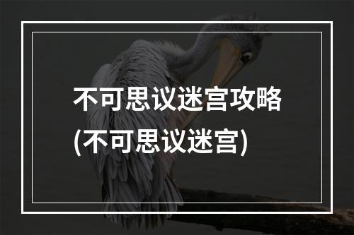 不可思议迷宫攻略(不可思议迷宫)