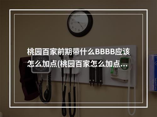 桃园百家前期带什么BBBB应该怎么加点(桃园百家怎么加点)