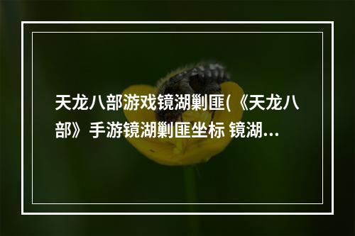 天龙八部游戏镜湖剿匪(《天龙八部》手游镜湖剿匪坐标 镜湖剿匪怎么抢大龙 )