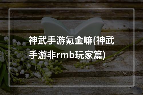 神武手游氪金嘛(神武手游非rmb玩家篇)