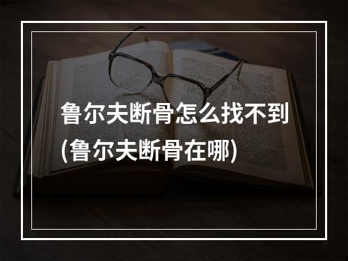 鲁尔夫断骨怎么找不到(鲁尔夫断骨在哪)