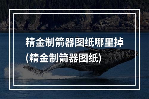 精金制箭器图纸哪里掉(精金制箭器图纸)