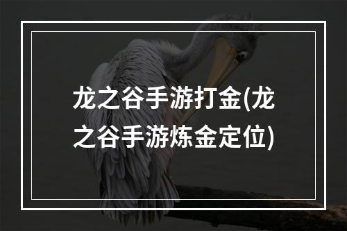 龙之谷手游打金(龙之谷手游炼金定位)