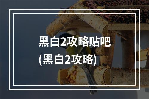 黑白2攻略贴吧(黑白2攻略)