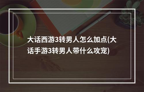 大话西游3转男人怎么加点(大话手游3转男人带什么攻宠)