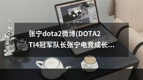 张宁dota2微博(DOTA2TI4冠军队长张宁电竞成长之路)