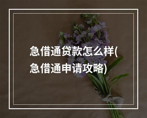 急借通贷款怎么样(急借通申请攻略)