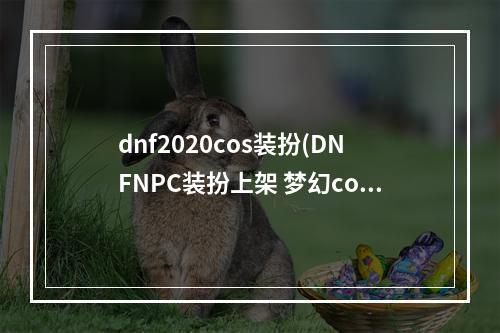 dnf2020cos装扮(DNFNPC装扮上架 梦幻cos装扮完美复刻记忆中的NPC)