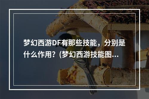 梦幻西游DF有那些技能，分别是什么作用？(梦幻西游技能图)