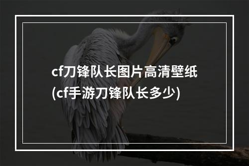 cf刀锋队长图片高清壁纸(cf手游刀锋队长多少)