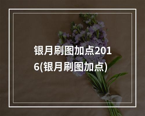 银月刷图加点2016(银月刷图加点)