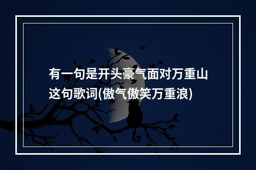 有一句是开头豪气面对万重山这句歌词(傲气傲笑万重浪)