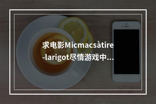 求电影Micmacsàtire-larigot尽情游戏中文字幕~~~(子弹头大复仇)