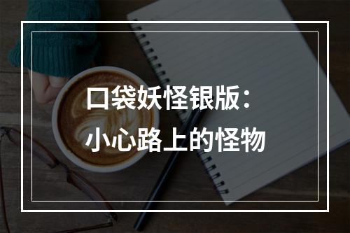 口袋妖怪银版：小心路上的怪物