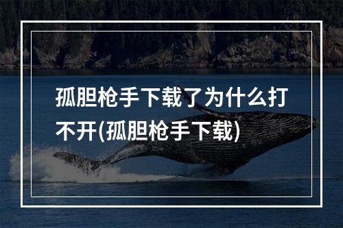 孤胆枪手下载了为什么打不开(孤胆枪手下载)