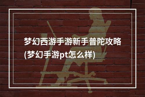 梦幻西游手游新手普陀攻略(梦幻手游pt怎么样)