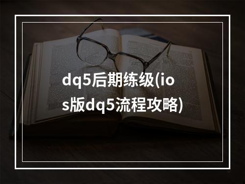 dq5后期练级(ios版dq5流程攻略)