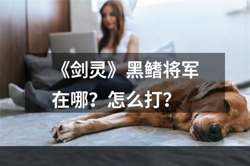 《剑灵》黑鳍将军在哪？怎么打？