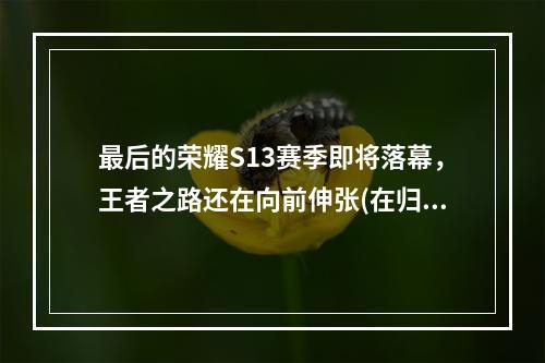 最后的荣耀S13赛季即将落幕，王者之路还在向前伸张(在归来的征程中)(打破天际，冠军高挂S13赛季即将结束，王者的皇冠将交接给谁(胜者为王))