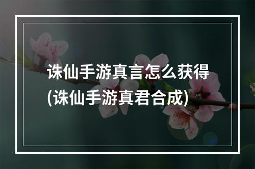 诛仙手游真言怎么获得(诛仙手游真君合成)