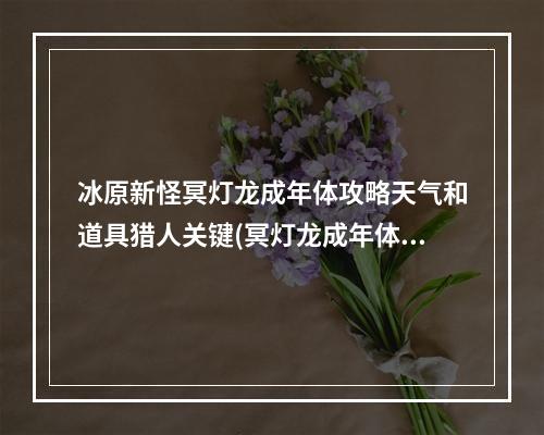 冰原新怪冥灯龙成年体攻略天气和道具猎人关键(冥灯龙成年体讨伐心得分享提高打法效率和获得掉落率)