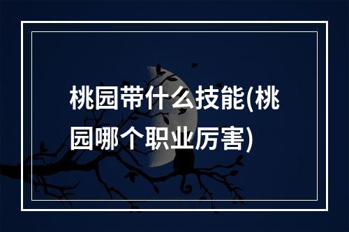 桃园带什么技能(桃园哪个职业厉害)