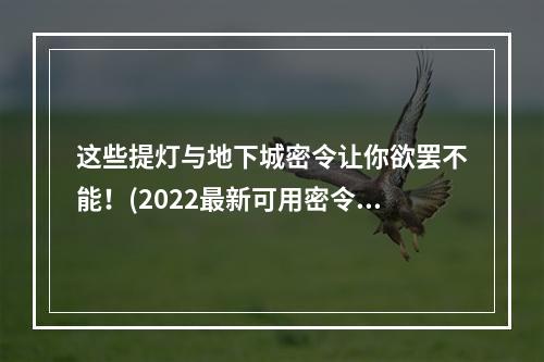 这些提灯与地下城密令让你欲罢不能！(2022最新可用密令一览)(挑战你的极限，这些提灯与地下城密令必知必会！(2022最新可用密令一览))