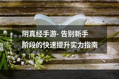 阴真经手游- 告别新手阶段的快速提升实力指南