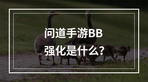 问道手游BB强化是什么？