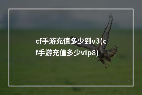 cf手游充值多少到v3(cf手游充值多少vip8)