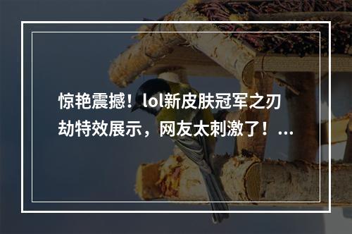 惊艳震撼！lol新皮肤冠军之刃劫特效展示，网友太刺激了！冠军之刃劫多少钱？