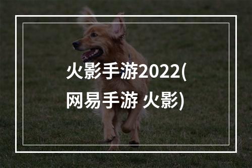 火影手游2022(网易手游 火影)