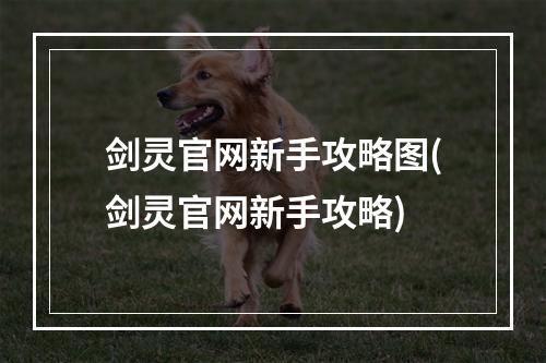 剑灵官网新手攻略图(剑灵官网新手攻略)