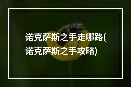 诺克萨斯之手走哪路(诺克萨斯之手攻略)