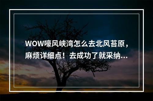 WOW嚎风峡湾怎么去北风苔原，麻烦详细点！去成功了就采纳・・・最好有图(怎么去北风苔原)