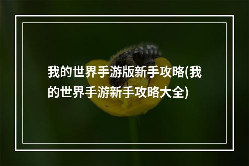 我的世界手游版新手攻略(我的世界手游新手攻略大全)