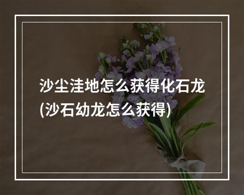 沙尘洼地怎么获得化石龙(沙石幼龙怎么获得)