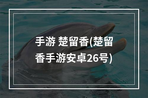 手游 楚留香(楚留香手游安卓26号)