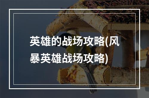 英雄的战场攻略(风暴英雄战场攻略)