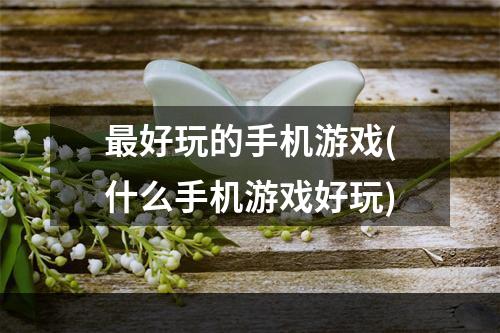 最好玩的手机游戏(什么手机游戏好玩)