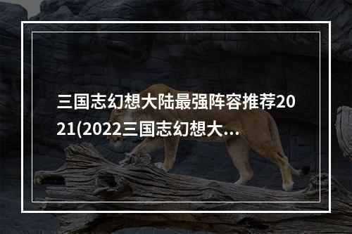 三国志幻想大陆最强阵容推荐2021(2022三国志幻想大陆最强阵容推荐 三国志幻想大陆 )