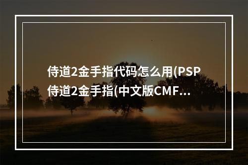 侍道2金手指代码怎么用(PSP侍道2金手指(中文版CMF))