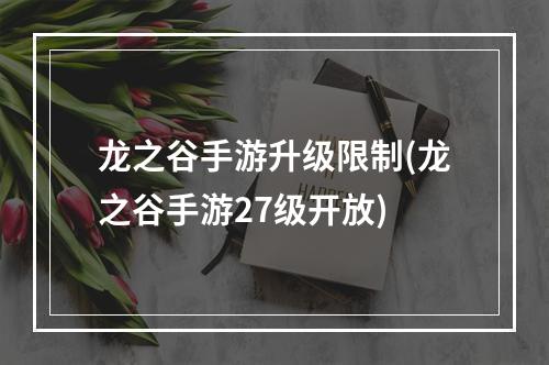 龙之谷手游升级限制(龙之谷手游27级开放)