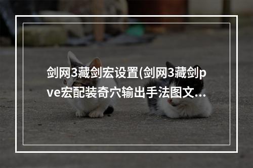 剑网3藏剑宏设置(剑网3藏剑pve宏配装奇穴输出手法图文攻略 重制版藏剑)