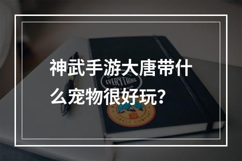 神武手游大唐带什么宠物很好玩？