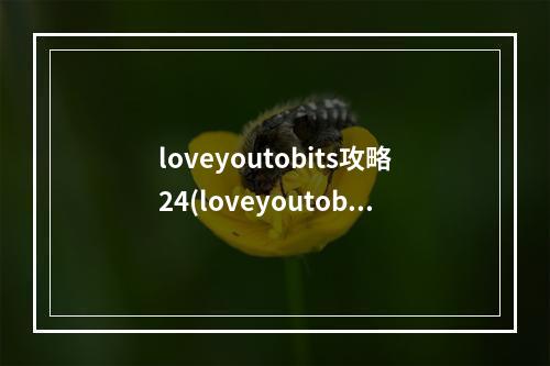 loveyoutobits攻略24(loveyoutobits攻略25)