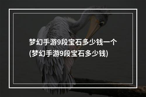 梦幻手游9段宝石多少钱一个(梦幻手游9段宝石多少钱)